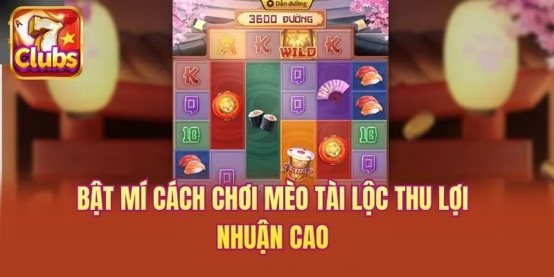 Bật mí cách chơi mèo tài lộc thu lợi nhuận cao